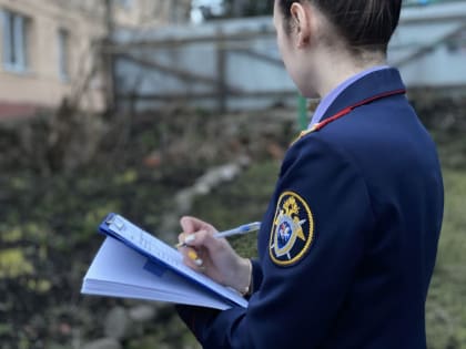 Следователи проводят проверку в связи падением пятилетней девочки из окна