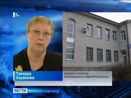 Ноябрь сохраняет за собой статус осеннего месяца  и в этом году обещает быть  теплым