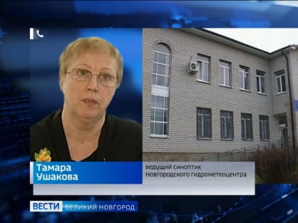 Новгородская погода переходит в хмурое предзимье