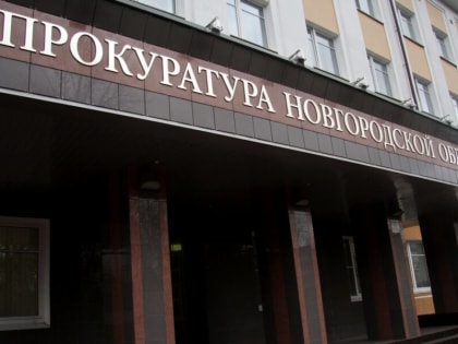 В Новгородской области уволили следователя по делам ОПГ, который не сообщил, что является гендиректором фирмы