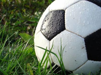 В волотовской деревне Городцы появится современная спортивная площадка