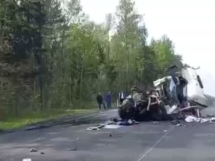 На трассе М10 из-за столкновения двух КамАЗов погиб рабочий