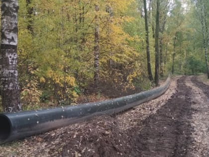 В 2023 году в Деревяницком парке продолжат строительство аллеи