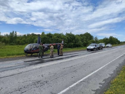 Искать пропавших новгородцев волонтёрам помогают пилоты вертолётного отряда «Ангел»