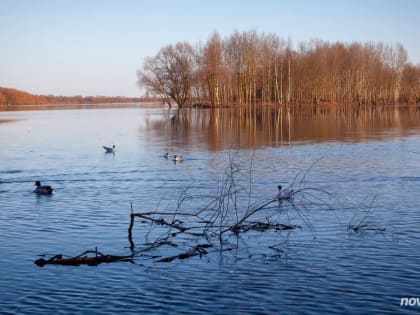Потепление до +22 градусов ожидает новгородцев в понедельник