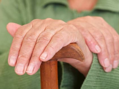 В Новгородской области увеличат финансирование программы долговременного ухода за пожилыми