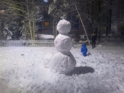 В ночь на среду жителям Великого Новгорода обещают сильный снегопад