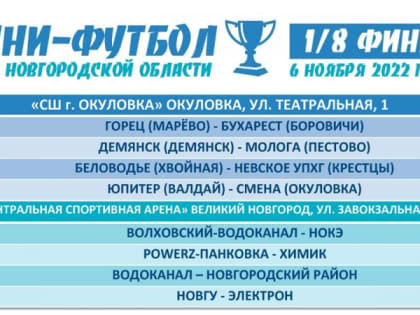 Приглашаем всех любителей футбола на кубок Новгородской области по мини-футболу