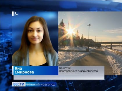 Атлантические циклоны принесут в Новгородскую область тёплый влажный воздух и смешанные осадки