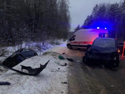 В Парфинском районе в ДТП погибла женщина