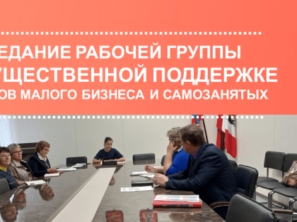 ЗАСЕДАНИЕ РАБОЧЕЙ ГРУППЫ ПО ИМУЩЕСТВЕННОЙ ПОДДЕРЖКЕ