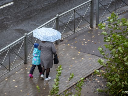 Дождливая погода вновь ожидается в Новгородской области