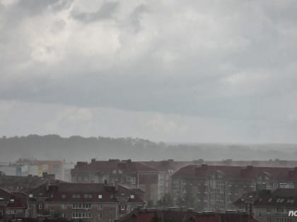 Кратковременные дожди ожидаются в Новгородской области в ближайшие дни