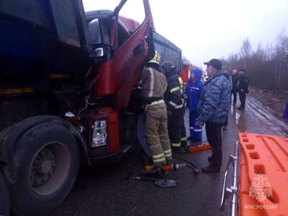 В Старорусском районе столкнулись два грузовых автомобиля