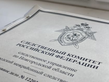 В Чудово жительница Смоленска признана виновной в убийстве