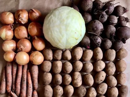 Новгородская область на 3 месте по сбору овощей в СЗФО