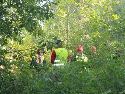 С начала года в лесах Новгородской области заблудились 73 человека