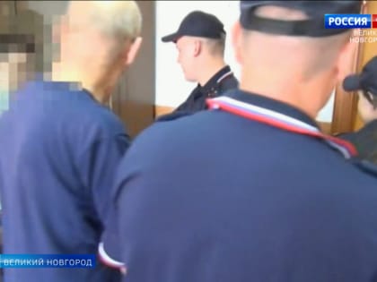 В Новгородской области вынесены приговоры двум "телефонным мошенникам".