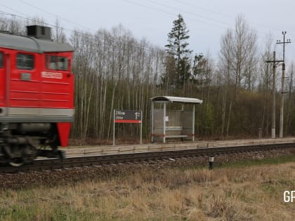 318 тонн известняковой муки с начала 2023 года завезли в Новгородскую область