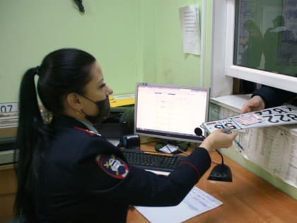 В Новгородской области выдали 50 водительских удостоверений водителям из новых регионов РФ