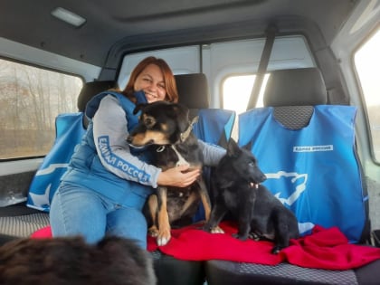 В Новгородской области в результате ДТП четыре человека получили травмы