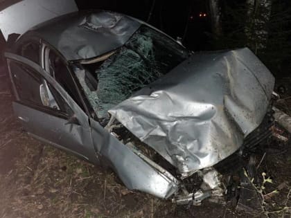 В Батецком районе в ДТП с лосём пострадал водитель Nissan