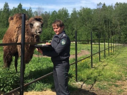 Парк живой природы «Zoobatetskii» получил бессрочную лицензию   