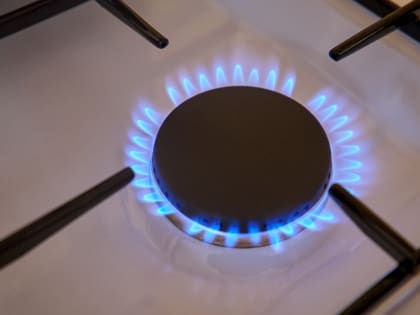 Жителям Новгородского района объяснили причины задержки доставки баллонного газа