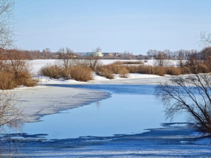 Неделя в сети: валдайская фотоохота и такие разные Никитины