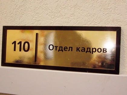 Новгородские работники рассказали, как влюблённость влияет на труд