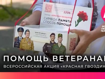 Новгородцев приглашают помочь ветеранам в рамках акции «Красная гвоздика»