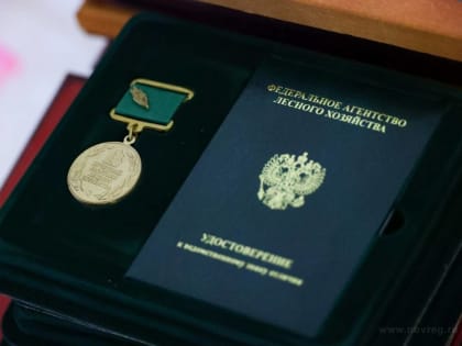 Лучшие работники лесной отрасли Новгородской области получили награды