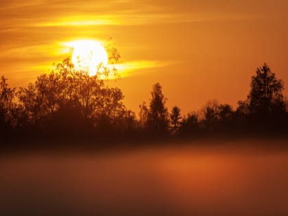 В понедельник в Новгородской области ожидаются небольшие дожди
