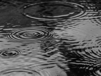 Новгородцам рассказали о погоде на первые рабочие дни осени