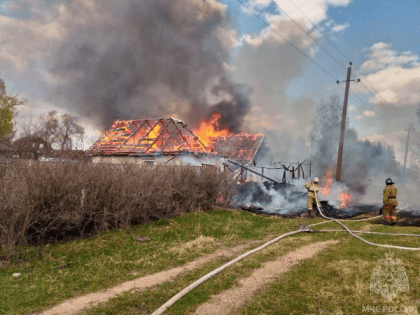 Животные погибли на пожаре в хозяйственных постройках под Великим Новгородом