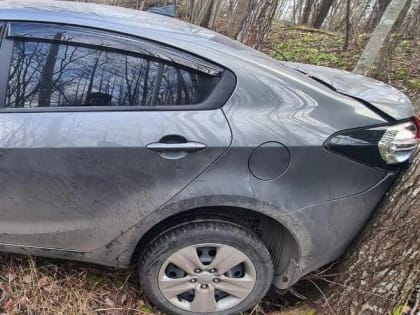 Мужчина погиб в ДТП на дороге Шимск — Волот