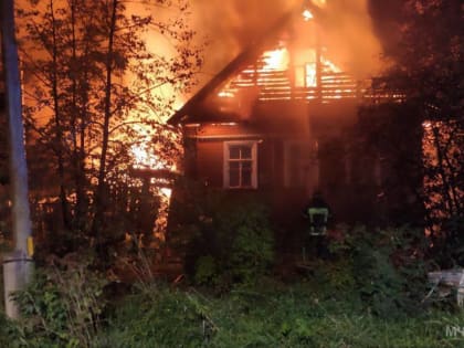 Ночью пожарные тушили горевшие дома в Боровичах и Сольцах