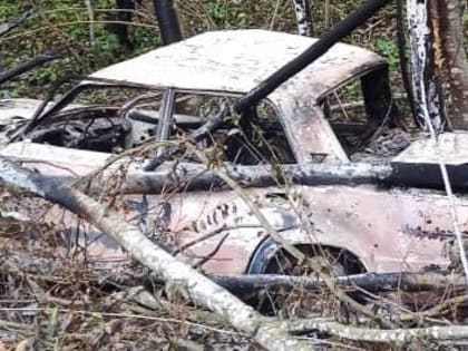 Прошлой ночью на дороге Великий Новгород — Луга водитель погиб в ДТП