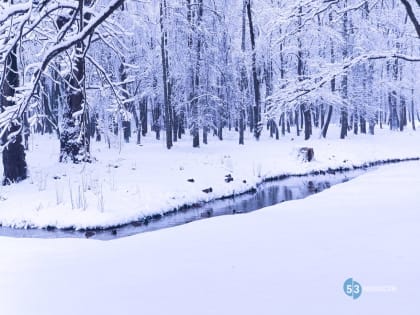 На выходных в Новгородской области будет морозно