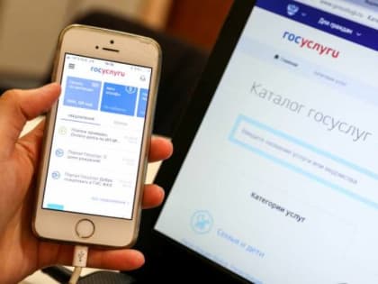 Через портал Госуслуг можно будет получать налоговые документы