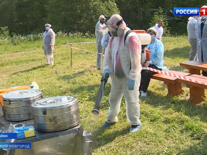 В Крестецком районе прошли учения по  ликвидации условного очага высокопатогенного гриппа птиц