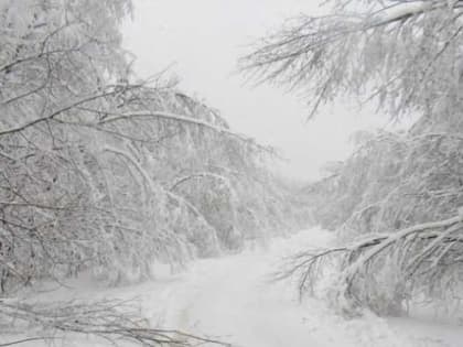 За день энергетики восстановили 612 километров ЛЭП в Новгородской области