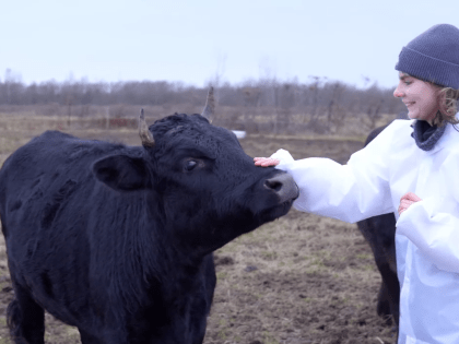 «Мегабайт» рассказал об интересных местах Великого Новгорода и деревни Наволок