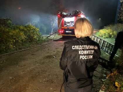 На пожаре в Маловишерском районе погиб мужчина