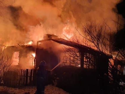 На пожаре в Окуловском районе погибли два человека