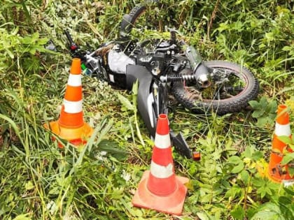 В Окуловке сбили двоих пешеходов, а в Великом Новгороде — велосипедистку