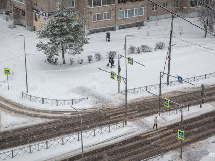 В Новгородской области из-за непогоды без света остались 190 человек
