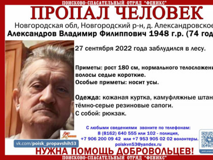 Новгородского пенсионера ищут в лесу двое суток. Нужна помощь добровольцев