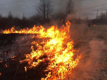 С 20 августа в регионе установлен особый противопожарный режим