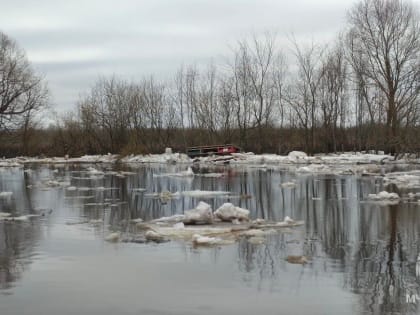 Уровень воды в реке Ловать в Старорусском районе приближается к неблагоприятной отметке